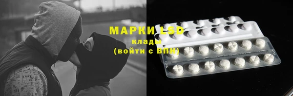 спайс Арсеньев