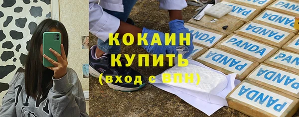 спайс Арсеньев