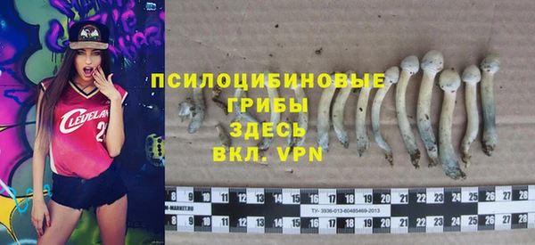 a pvp Армянск