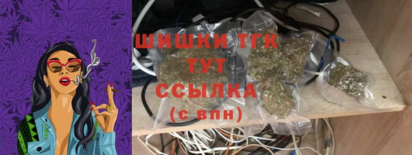 спайс Арсеньев
