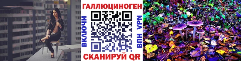 где купить наркоту Полярный блэк спрут ONION Псилоцибиновые грибы GOLDEN TEACHER